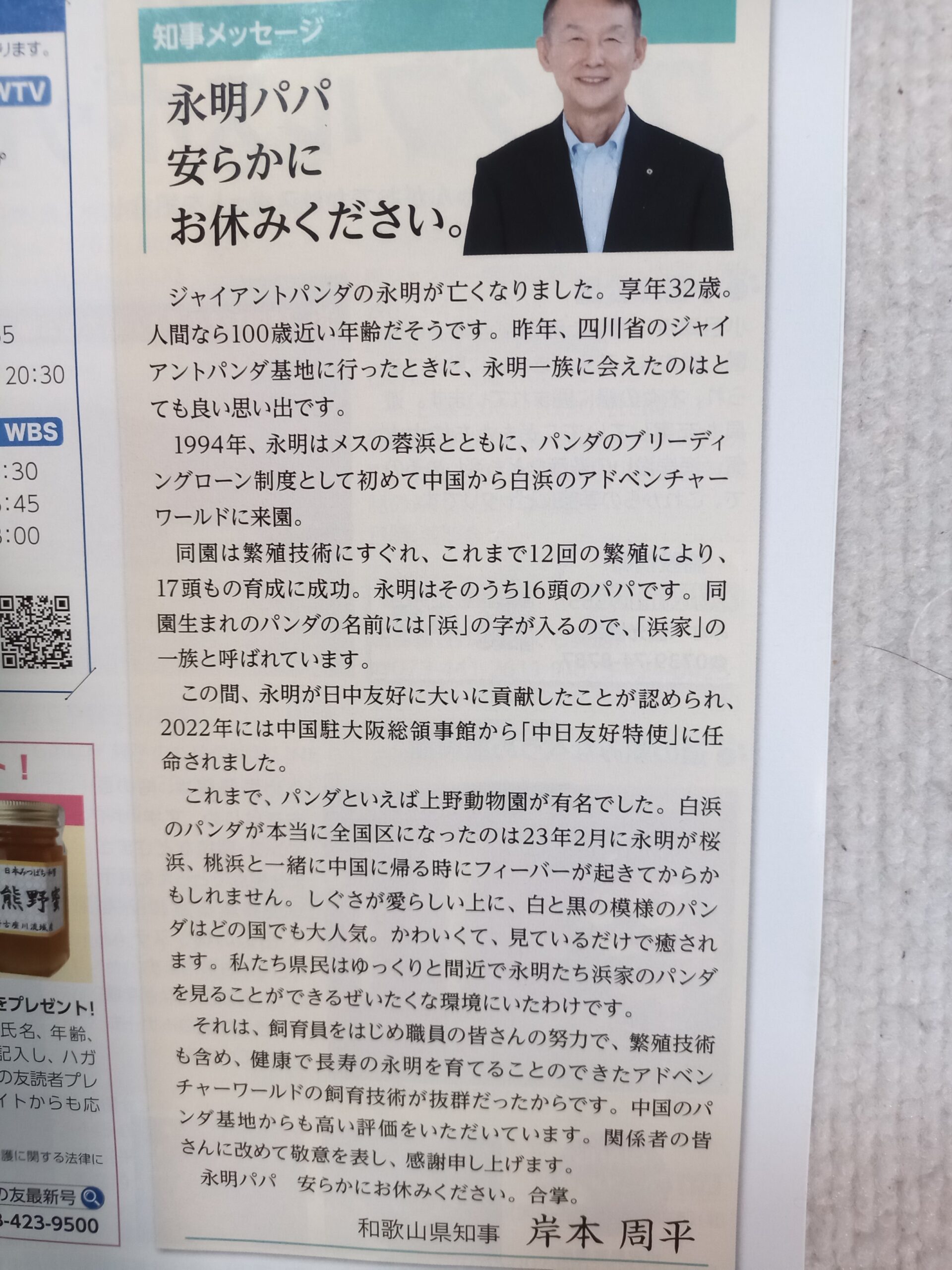 パンダがいなくなる
