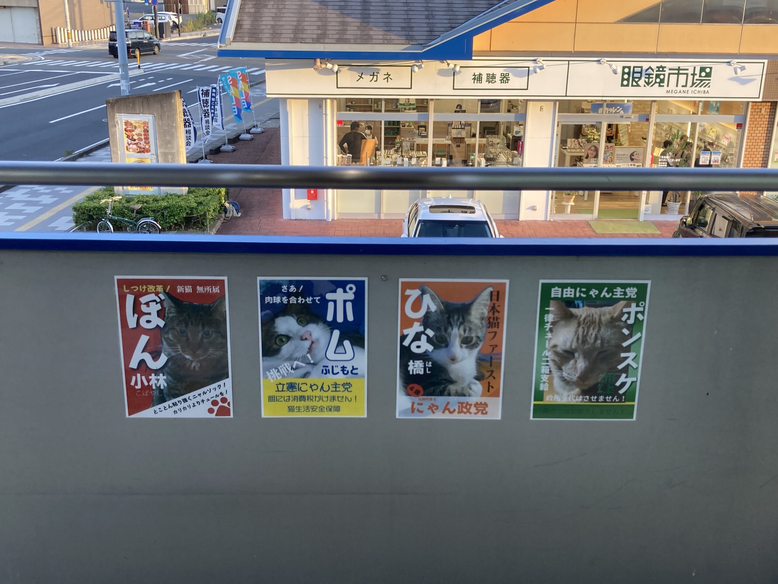 ねこざんまい