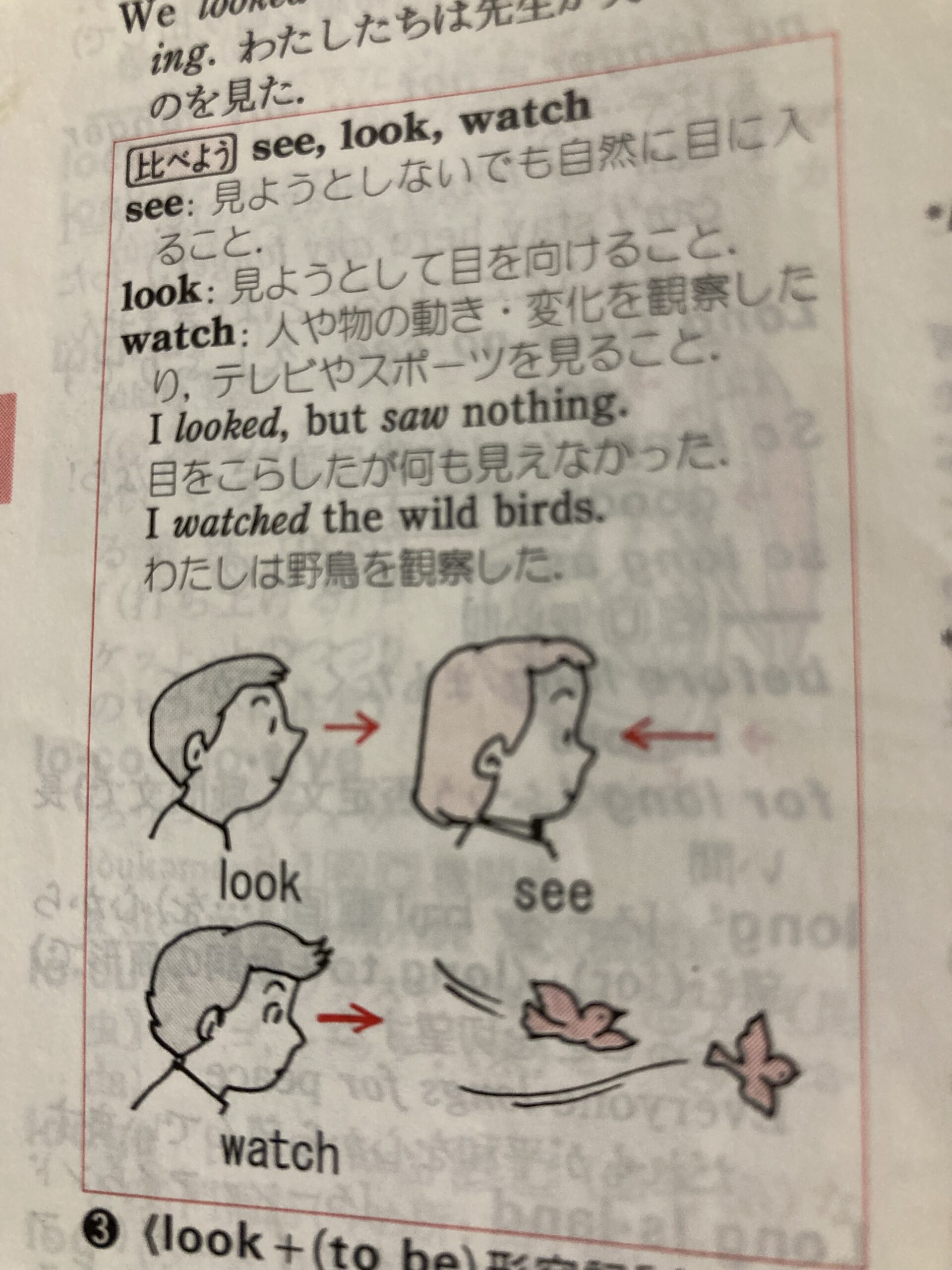 見る（see、 look、 watch）の区別