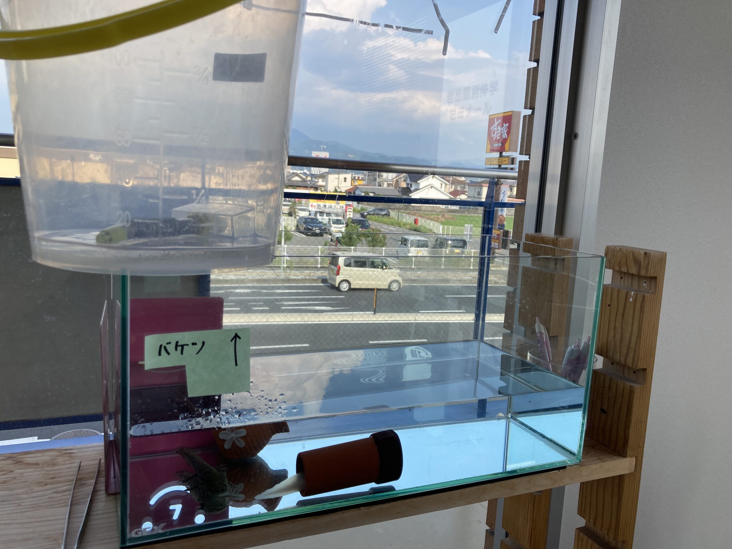 647日め！（ウパー殿さん）487日め！（マーブル）育成に必要な備品③バケツ