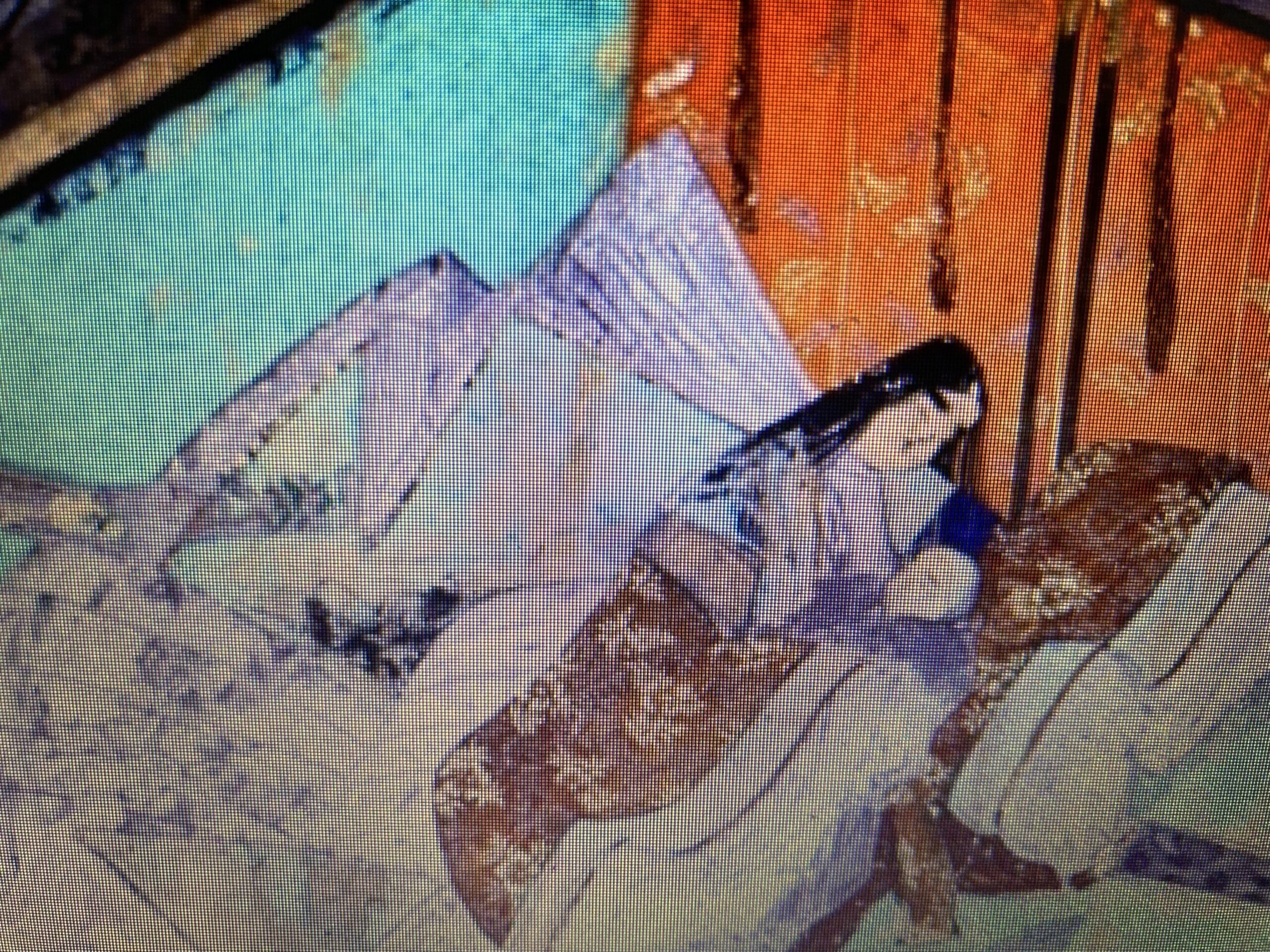 日本史（女性史編25）彰子(前編)